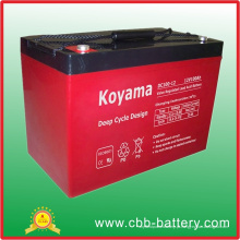 Bateria profunda do ciclo AGM de 12V 100ah para solar / UPS